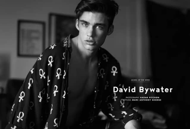 David Bywater Biyografisi foto galeri 1