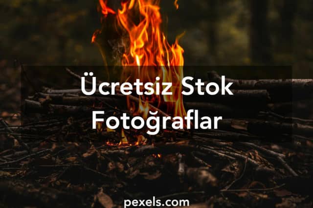 Derin Ateş Öğüt Biyografisi foto galeri 2
