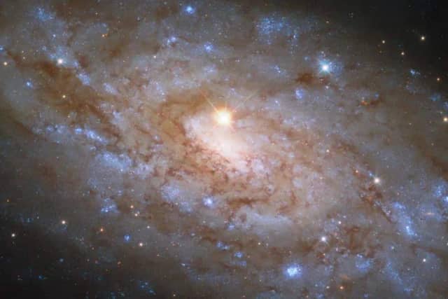 Gaia Garih Biyografisi foto galeri 3