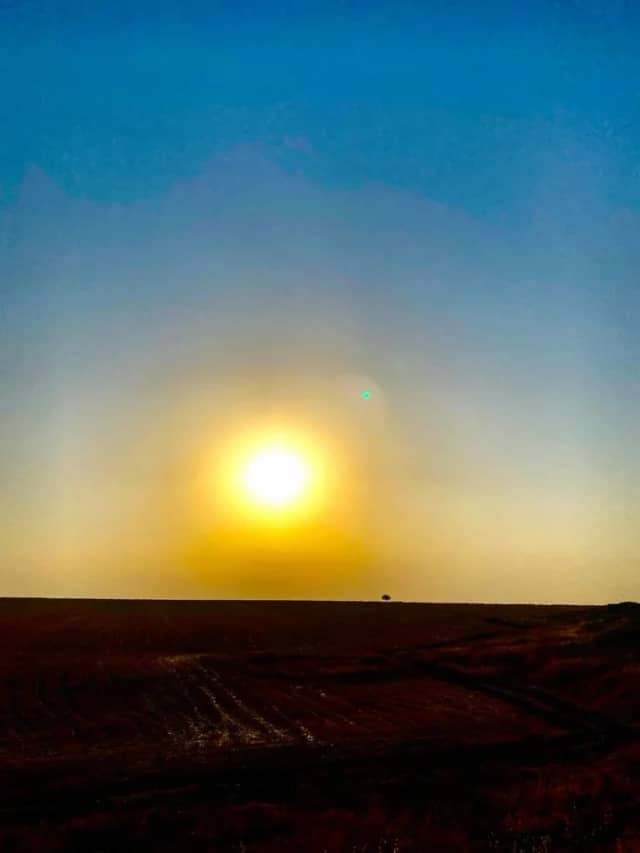 Güneş Kayı Biyografisi foto galeri 1