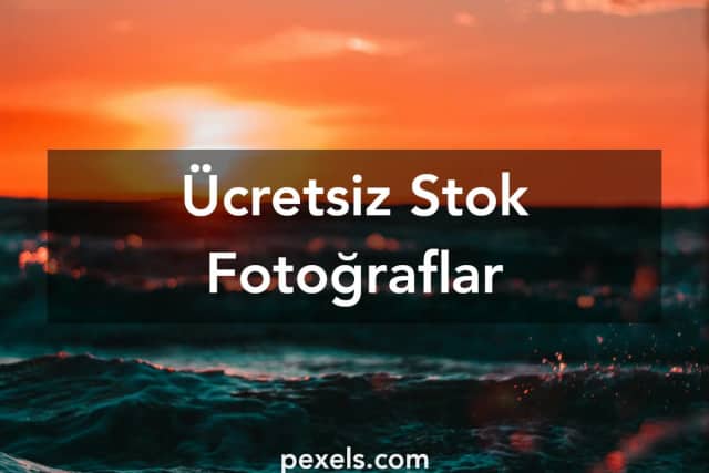 Güneş Kayı Biyografisi foto galeri 3