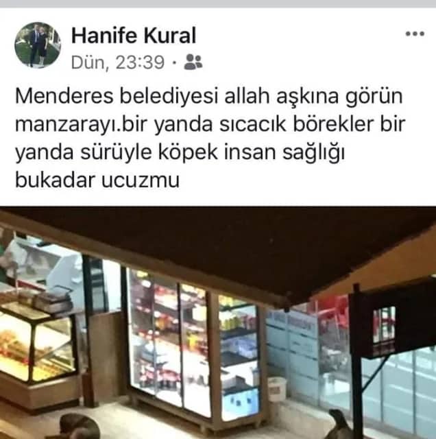 Hanife Kural Biyografisi foto galeri 2
