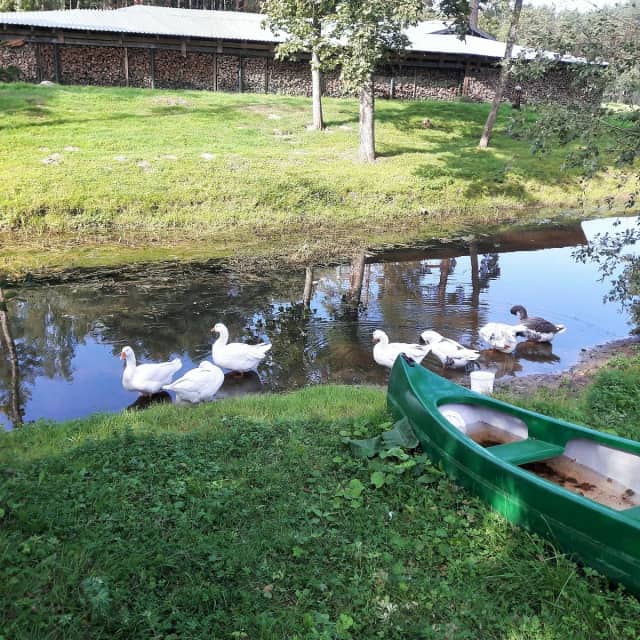 Su Talu Biyografisi foto galeri 4