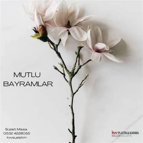 Suzet Masa Biyografisi foto galeri 5