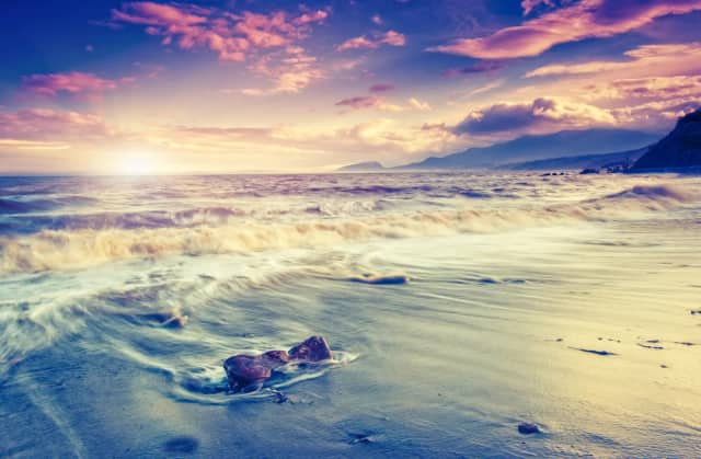 Deniz Öztarhan Biyografisi foto galeri 5