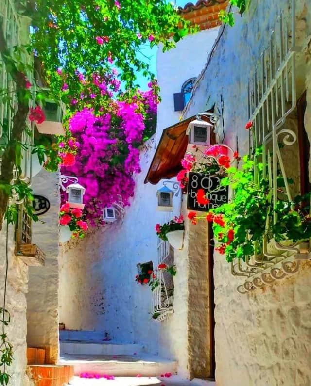 Ege Akkaş Biyografisi foto galeri 3