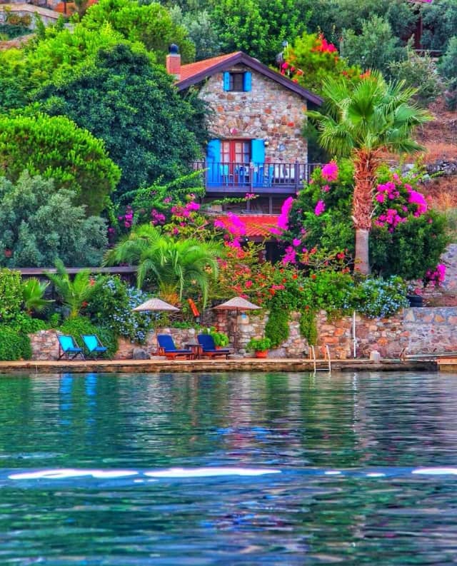 Ege Büyükhanlı Biyografisi foto galeri 4