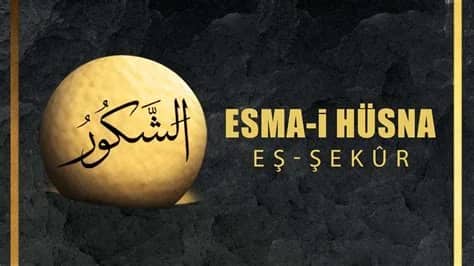 Esma Hüsna Akbaş Biyografisi foto galeri 4