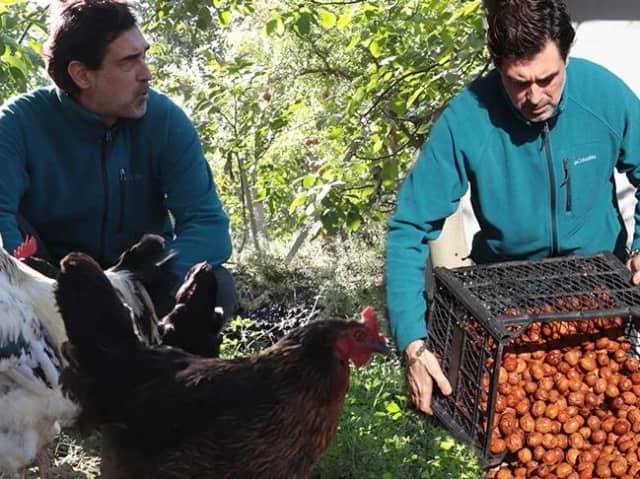 Gülsüm Hakkı Engin Biyografisi foto galeri 2
