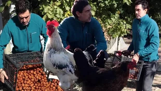 Gülsüm Hakkı Engin Biyografisi foto galeri 3