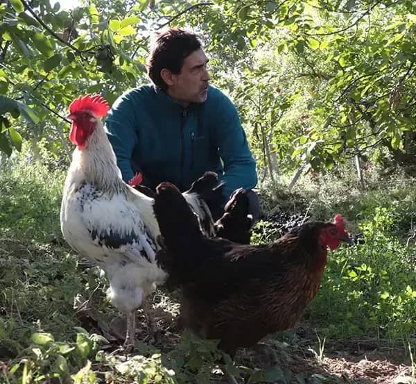 Gülsüm Hakkı Engin Biyografisi foto galeri 4