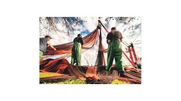 Hande Tarım Biyografisi foto galeri 5