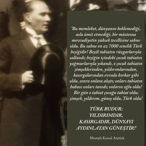 Mehmet Özener Biyografisi foto galeri 3