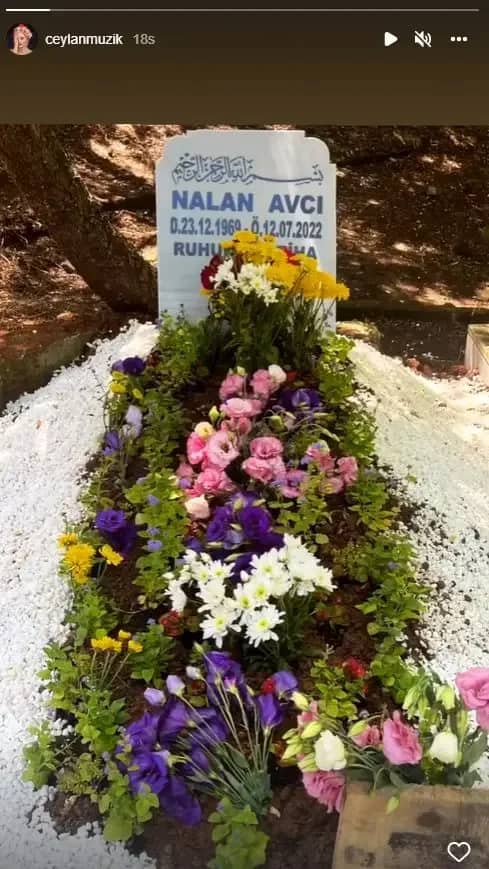 Nazan Avcı Biyografisi foto galeri 3