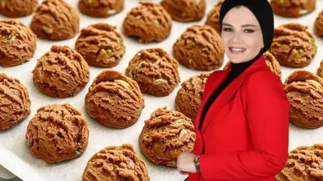 Nermin Şükür Biyografisi foto galeri 1