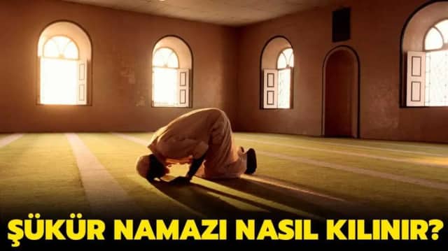 Nermin Şükür Biyografisi foto galeri 4