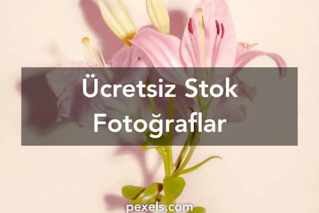 Pembe Hidayetoğlu Biyografisi foto galeri 5