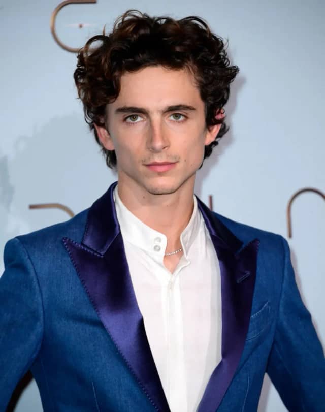 Timothée Chalamet Biyografisi foto galeri 2
