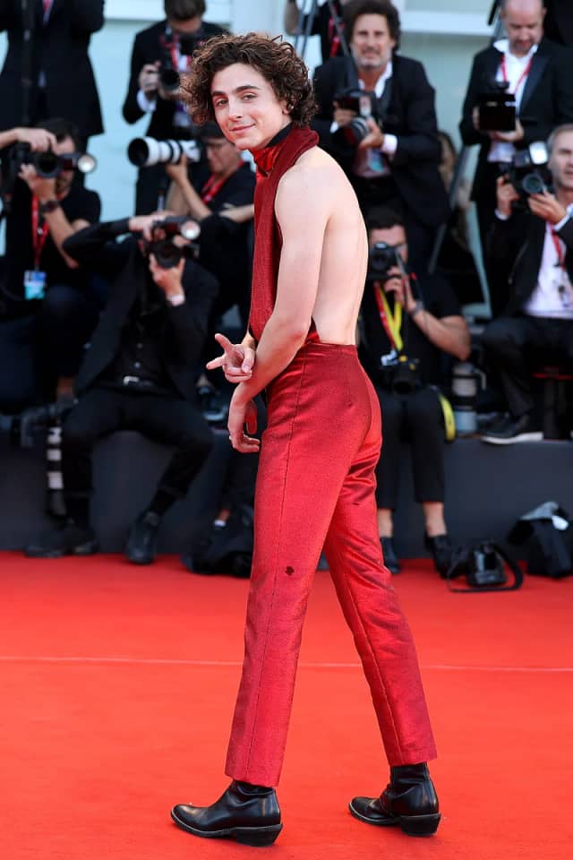 Timothée Chalamet Biyografisi foto galeri 3