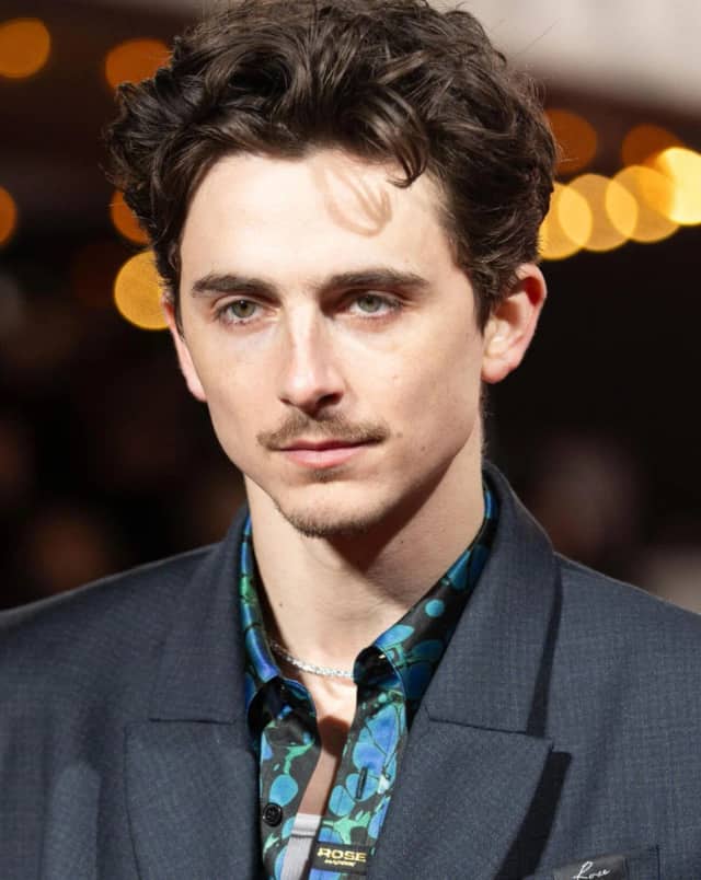 Timothée Chalamet Biyografisi foto galeri 5