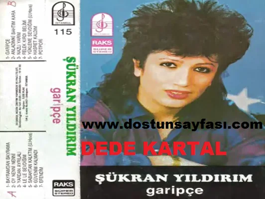 Şükran Yıldırım Biyografisi
